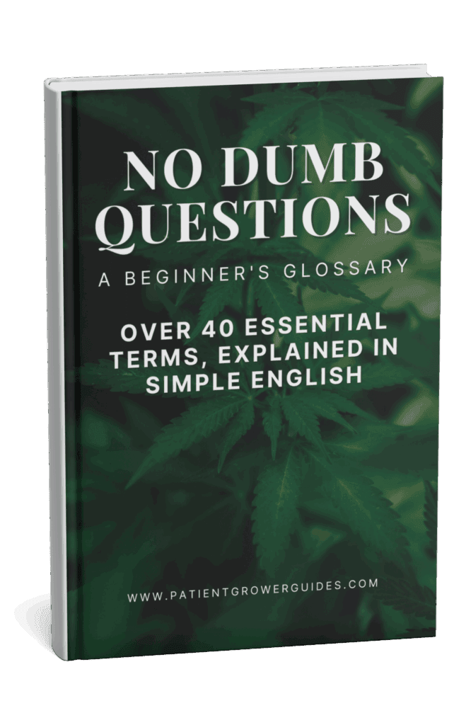 The cover of the No Dumb Questions glossary of terms about growing cannabis.