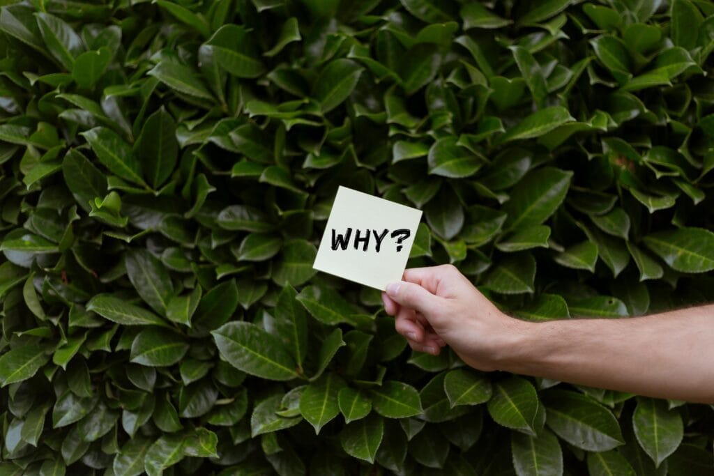 Why Grow Cannabis