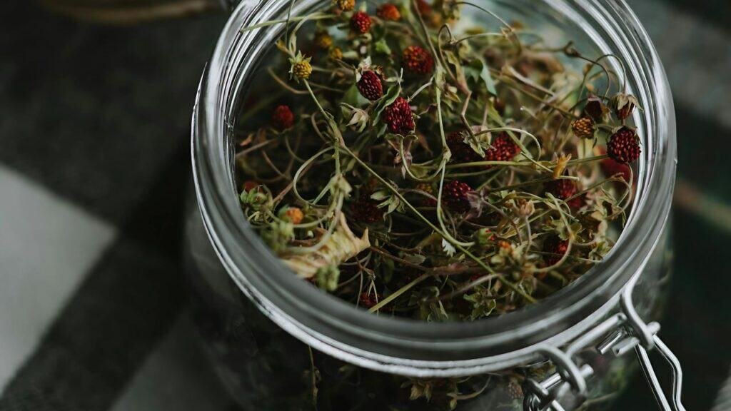 An open glass storage jar of dried botanicals on a plaid blanket, a visual answer to the question 'What Are Terpenes?'