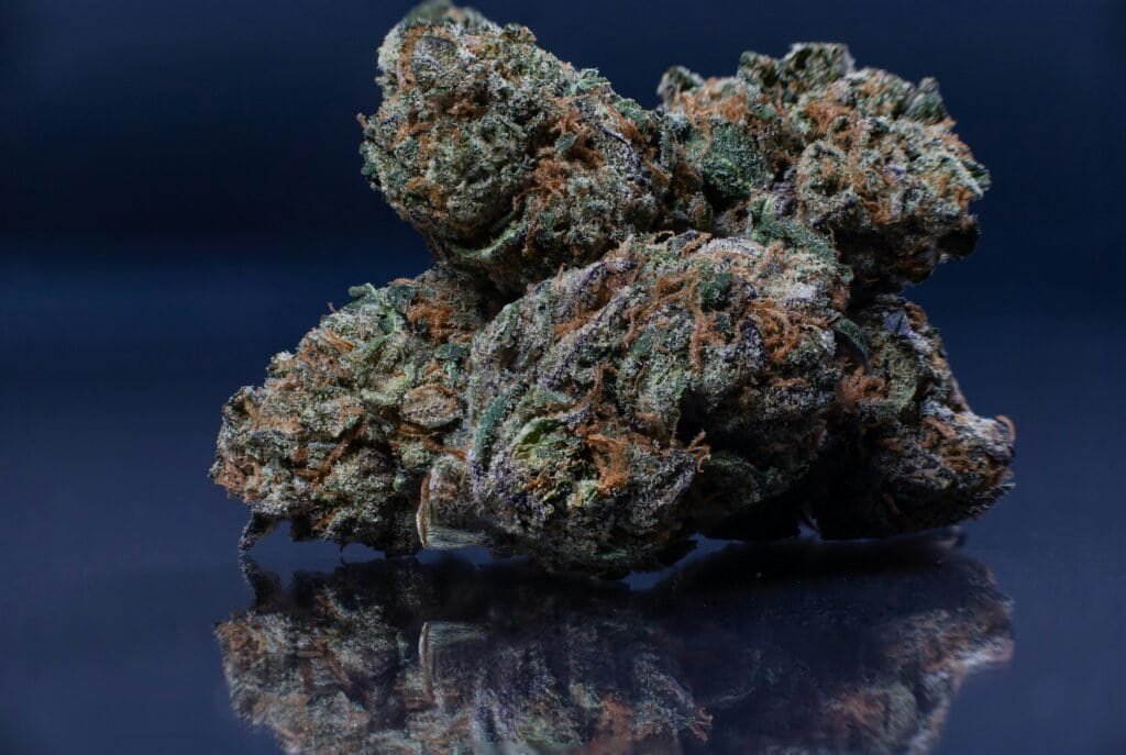 an image of a harvested cannabis bud.