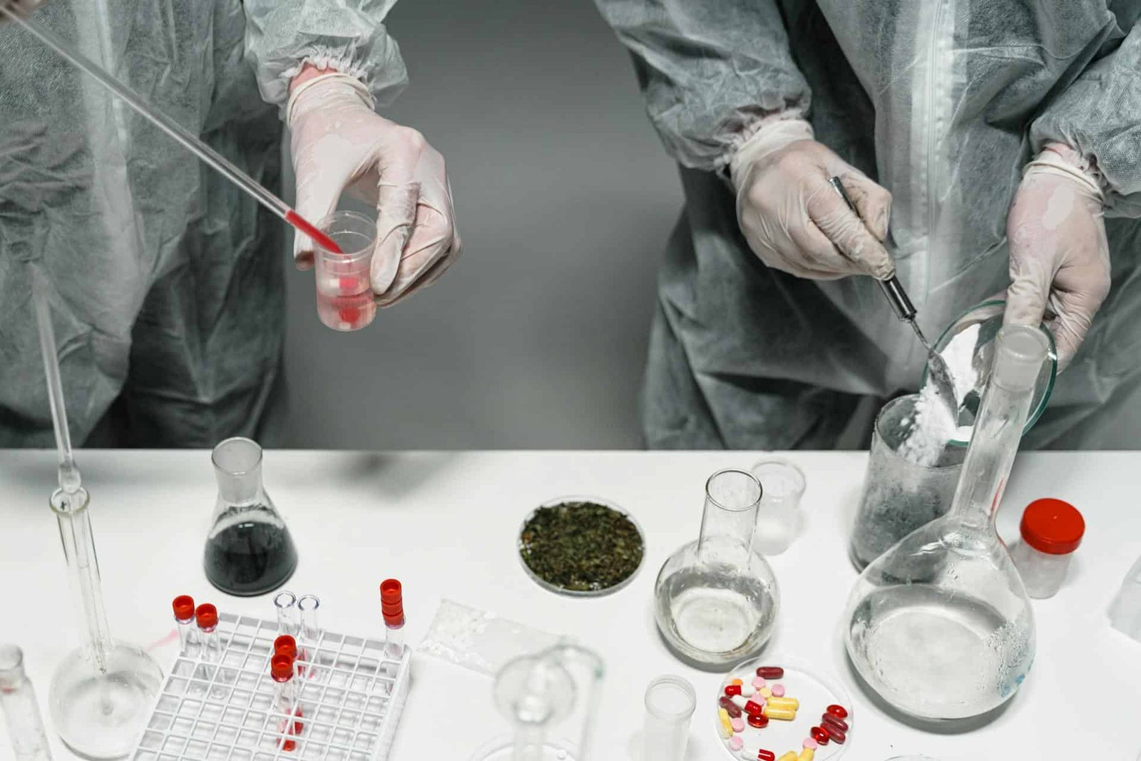 A guide on how to read a cannabis lab report showing two scientists performing tests on cannabis flower in a lab.
