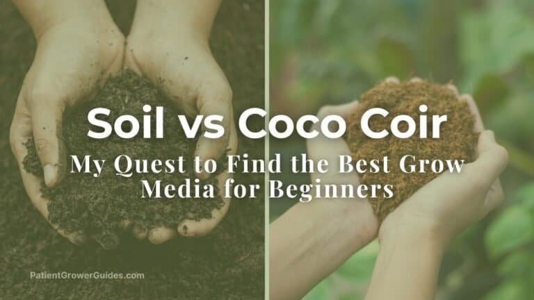 Soil vs Coco Coir: A beginner's hands compare the texture of soil and coco coir, illustrating a guide to choosing the best grow media.