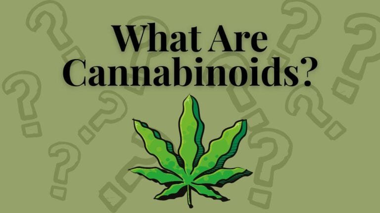 A graphic displaying the title "what are cannabinoids" with a cannabis leaf and question marks in the background.