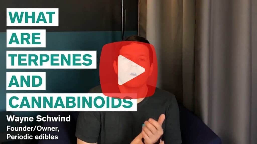 An image with a link to a youtube video that covers terpenes and cannabinoids.